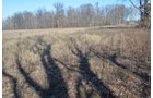 Property photo 22 - East Allen County - 55 Acre Land Auction